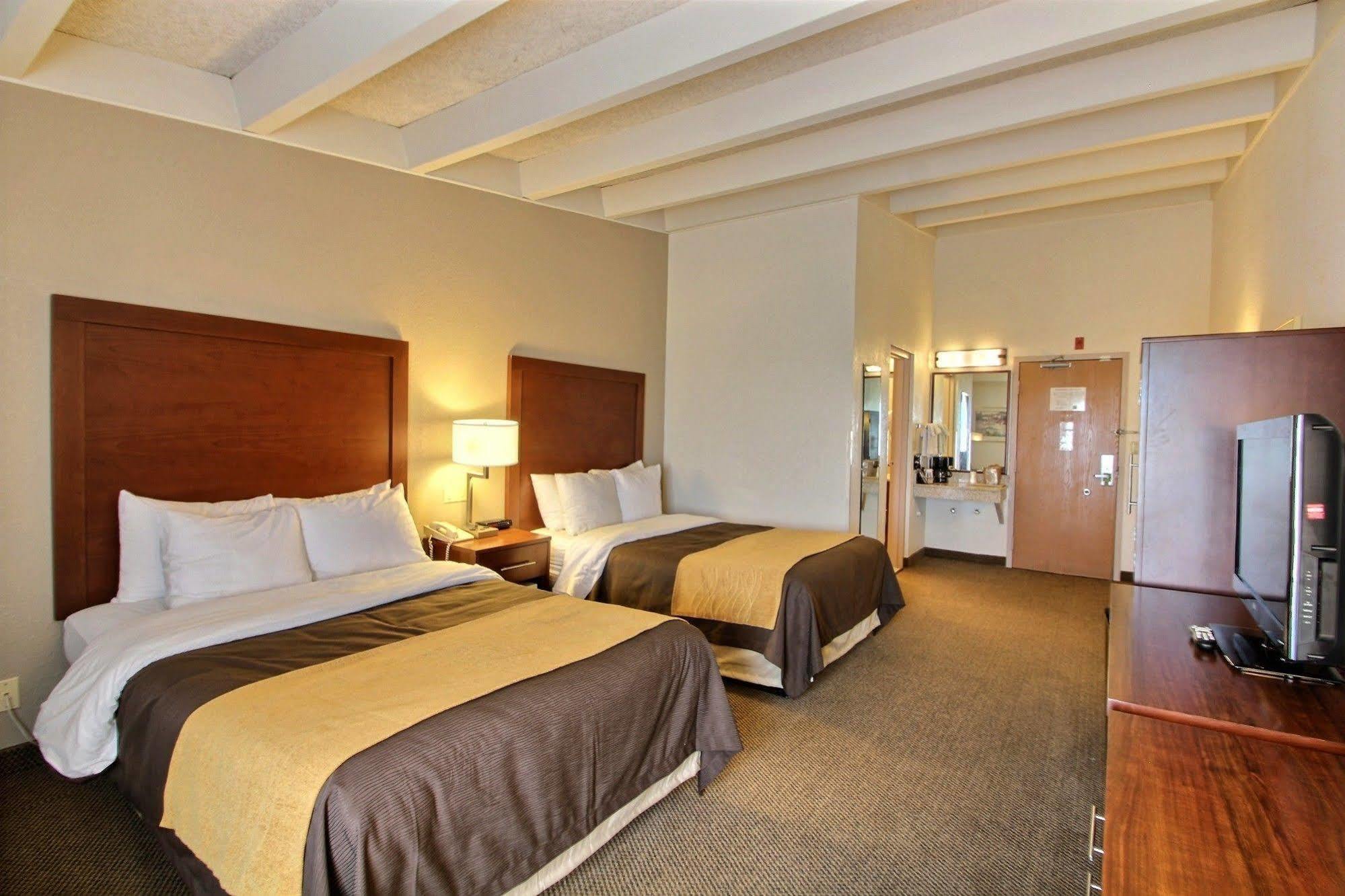 Comfort Inn & Suites Madison - Airport Zewnętrze zdjęcie